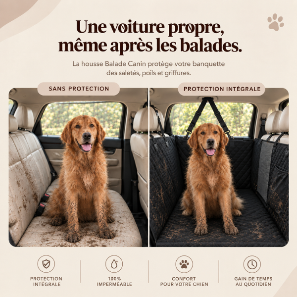 Housse de protection voiture pour chien - BaladeCanin+™ 🐶