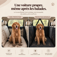 Housse de protection voiture pour chien - BaladeCanin+™ 🐶