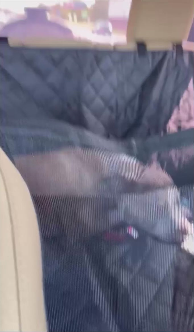 Vidéo
